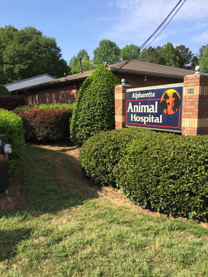 6 Top Rated Veterinarians In Roswell Georgia Best Reviewed Experts