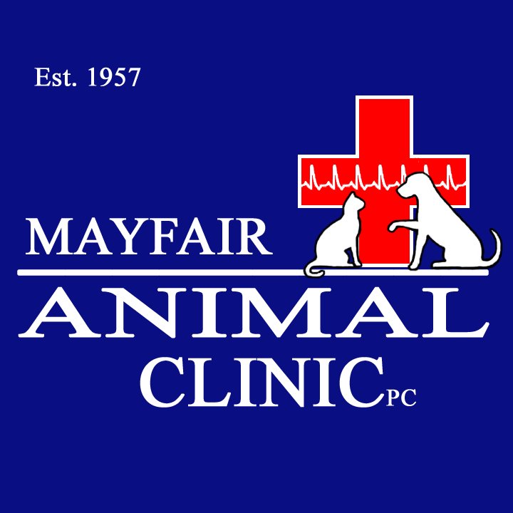 6 Top Rated Veterinarians In Chicago, Illinois Best Reviewed Experts