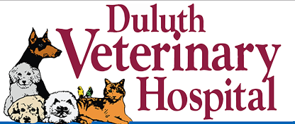 urgent care vet duluth mn