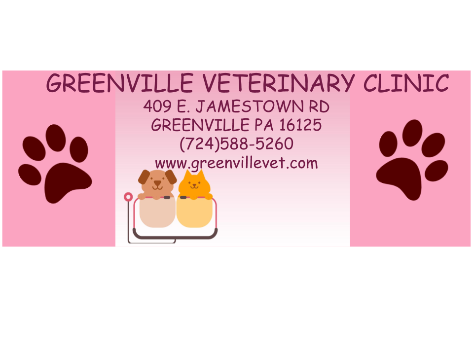 6 Top Rated Veterinarians In Greenville, North Carolina Best Reviewed
